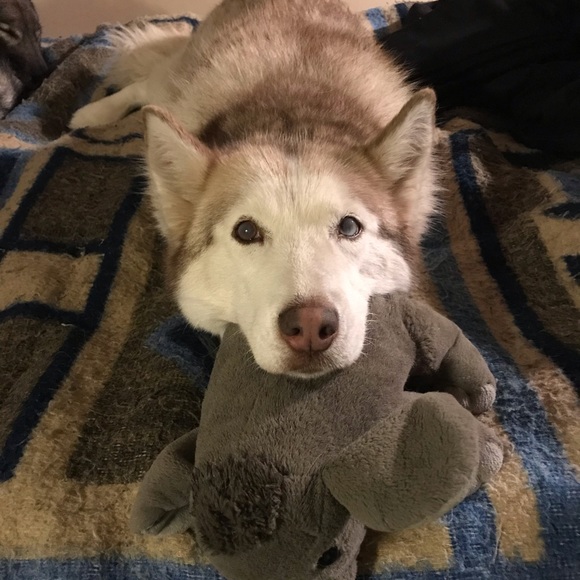 Meet your Posher, Liz - Picture 1 of 1